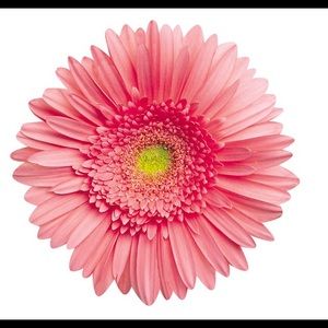 Meet your Posher, Rosa